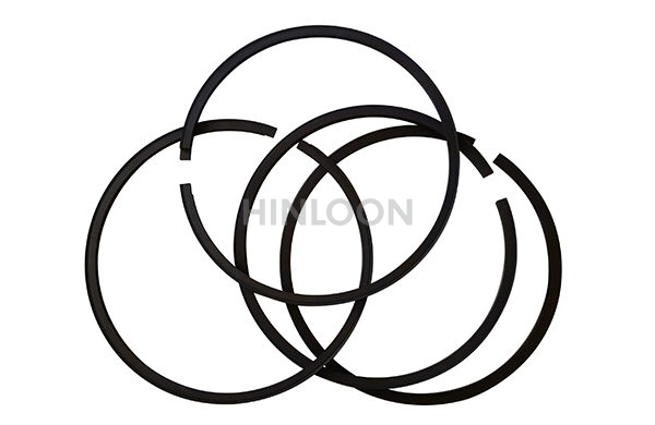 Piston Ring