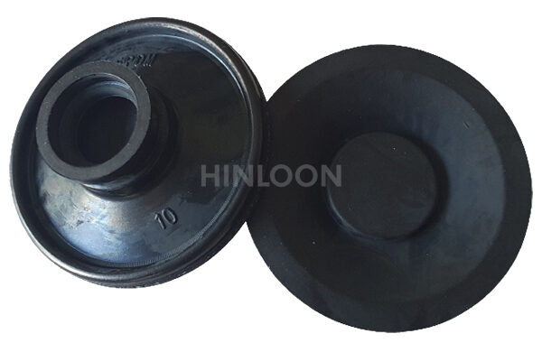 Diaphragm Membrane X58899828